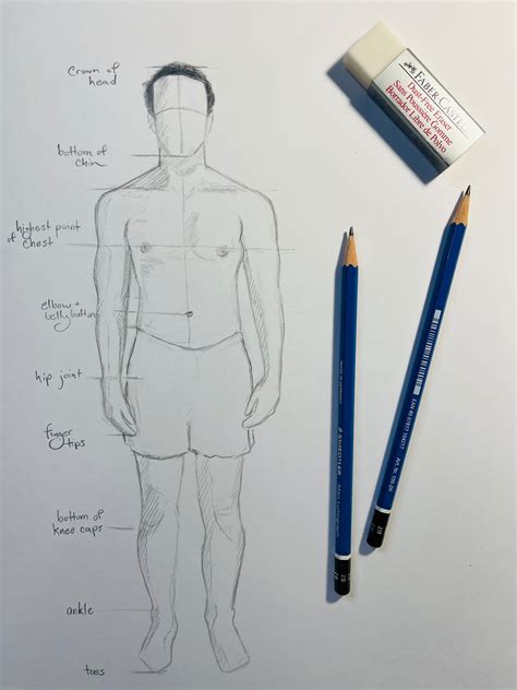 Sketching Basic Body Proportions with @AdrienneHodgeArt | Classes ...