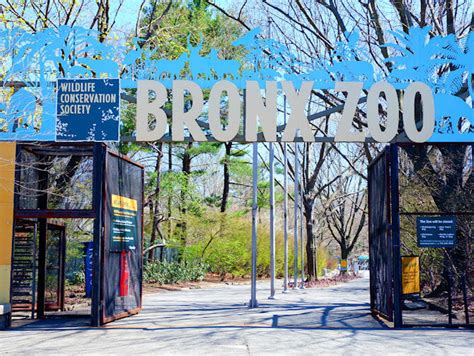 The Bronx Zoo - NewYorkCity.ca