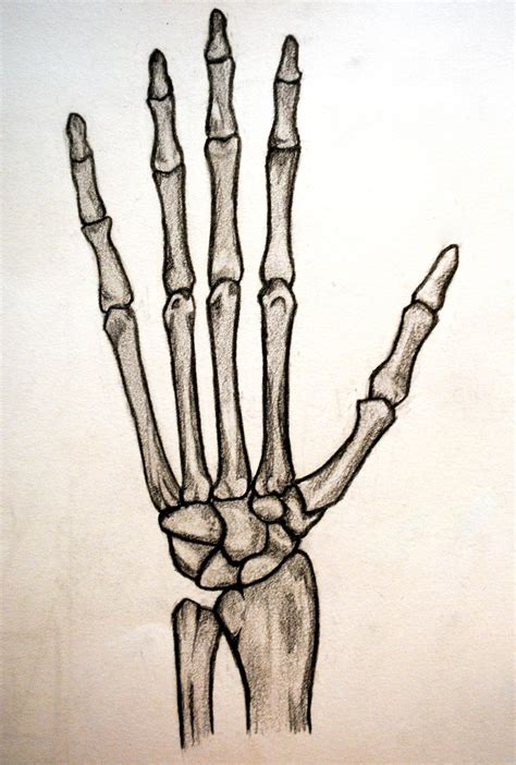 Skeleton Hand by shinigamixandie - ClipArt Best - ClipArt Best