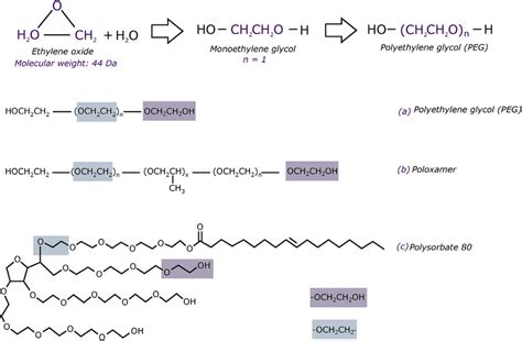 Molecular structure and polymerization of PEG and the derivatives ...