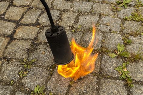 Propane Flame Weeder: Is It Useful? - Farmer Grows