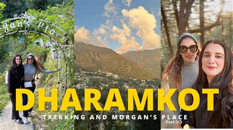 Exploring Dharamkot Dharamshala: Trekking Adventures and Café Charm at Morgan's Place - YouTube