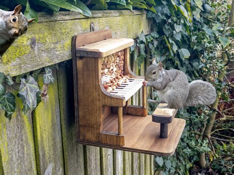 Squirrel Feeder Piano - Etsy UK