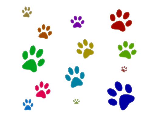 Dog Pet sitting Puppy Fruit - Paw Prints png download - 1600*1333 ...