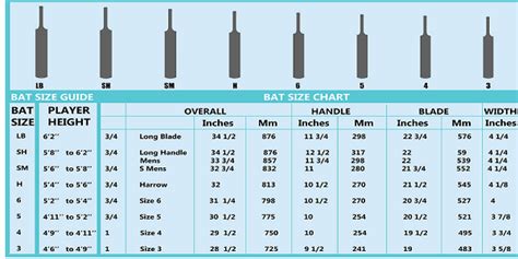 How to Choose a Cricket Bat | CricketBio