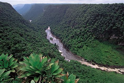 Guyana, South America | Guyana, South america, Tourist