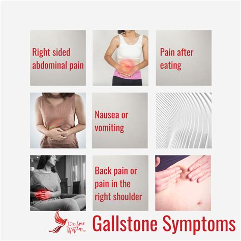 Hormones and... Your Gallbladder | Dr. Lisa Watson