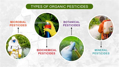 Types Of Insecticides