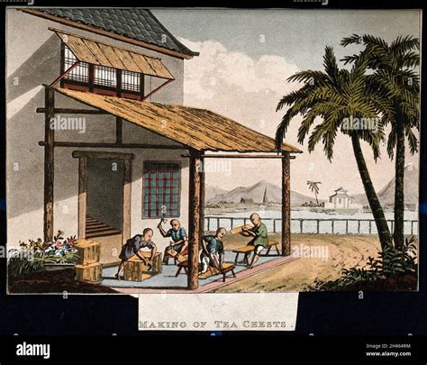 A tea plantation in China: workers make tea chests. Coloured aquatint, early 19th century Stock ...