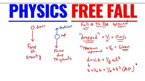 Physics Free Fall and Example (SAT/ AP Physics 1) - YouTube
