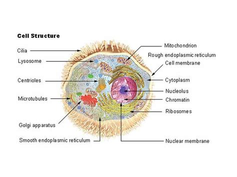 Integrated MCAT Course