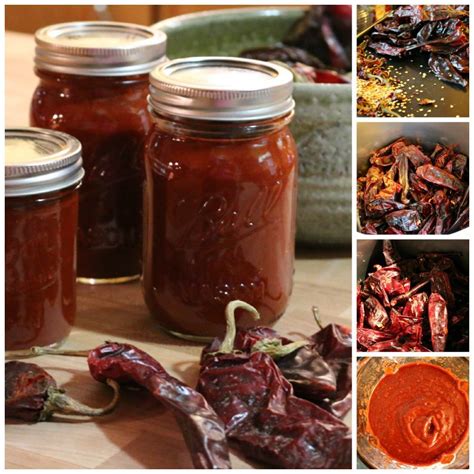 New Mexico Blender Red Chile Sauce | Recipe | Food, Spicy recipes ...