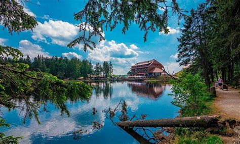 Los lagos más bonitos de la Selva Negra alemana - Foto 1