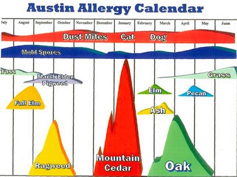 Austin Allergy Season Chart - Best Picture Of Chart Anyimage.Org