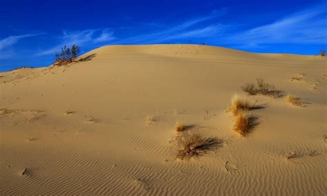 Tours on jeeps across Kara Kum Desert Karakum Desert is located in the central part of ...