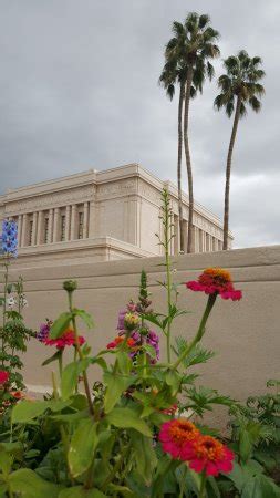 Mesa Arizona Temple Visitors' Center: Top Tips Before You Go with 53 ...