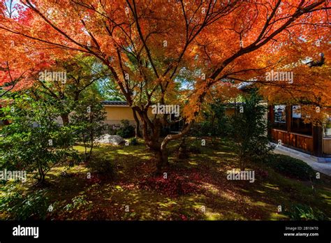 Temple of Kyoto in autumn, Japan Stock Photo - Alamy