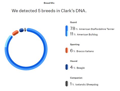 The Best Dog DNA Testing Kits for 2025 | PCMag