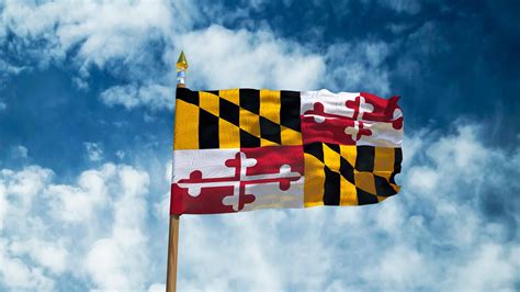 The Flag of Maryland: History, Meaning, and Symbolism - AZ Animals