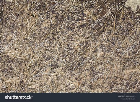 Wattle Daub Wall Texture Wall Old Stock Photo 2202053523 | Shutterstock