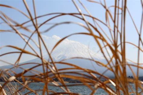 Mount Fuji As Seen from Lake Kawaguchi Stock Image - Image of ...