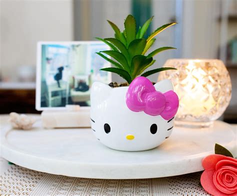 Buy Sanrio Hello Kitty Face 3-Inch Ceramic Mini Planter With Artificial Succulent | Small Flower ...