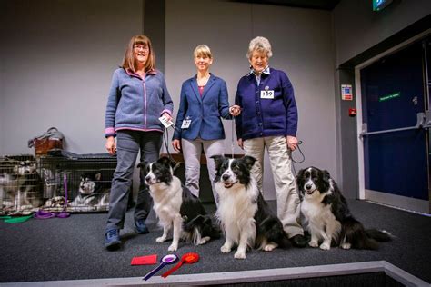 First dog show of the year for Guernsey Kennel Club | Guernsey Press