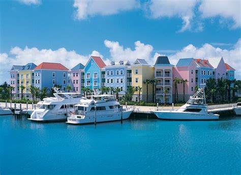 Our Amazing Harborside Resort Travel - Review of Atlantis - Harborside ...