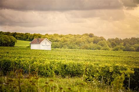 Champagne Vineyards. Champagne-Ardenne Region.France Editorial Stock Image - Image of france ...