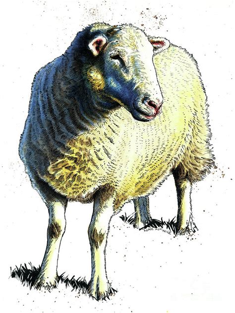 The Sheep On White, 2020 Painting by Mike Davis - Fine Art America