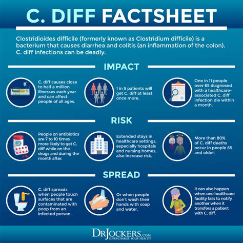 C Diff Infection: Risk Factors, Symptoms and Support Strategies