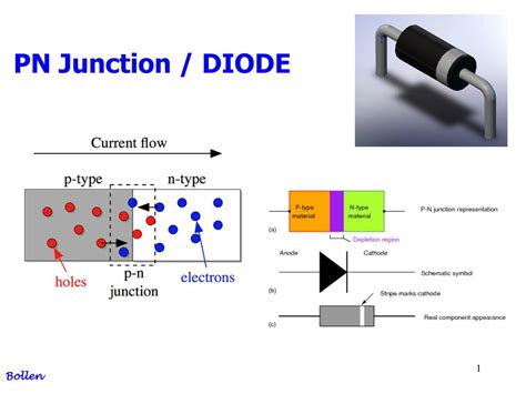 PPT - PN Junction / DIODE PowerPoint Presentation, free download - ID ...