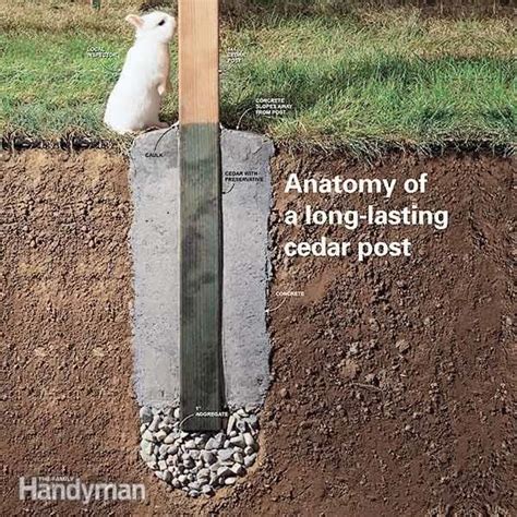 How to Set Cedar Fence Posts That Won't Rot | Family Handyman