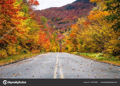 Route à travers une forêt d'érables à l'automne image libre de droit par Alpegor6 © #159795880