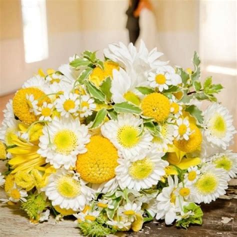 Daisy and billy buttons | Wedding flowers bridal bouquets, Wedding flower inspiration, Bridal ...