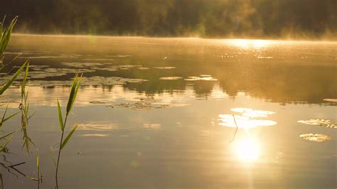 A Stunning Sunrise Lake Stock Footage SBV-309431865 - Storyblocks