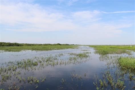 A Restored Kissimmee River in Sight | Audubon Florida