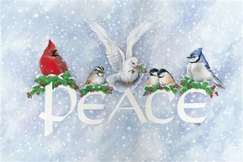 PEACE DOVE - 3D and CG & Abstract Background Wallpapers on Desktop ...