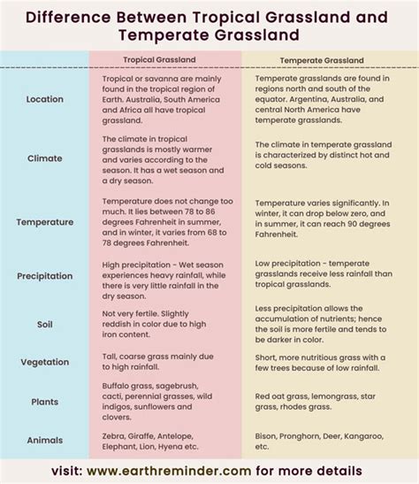 Difference Between Tropical Grassland and Temperate Grassland