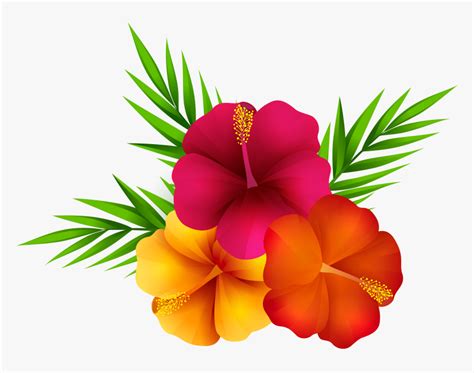 Tropical Flowers Clipart | Best Flower Site