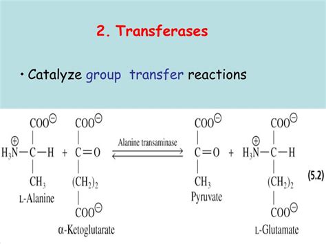 PPT - ENZYMES: CLASSIFICATION, STRUCTURE PowerPoint Presentation, free download - ID:3396577