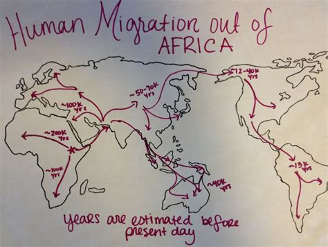 Human Migration Out Of Africa Map – Topographic Map of Usa with States