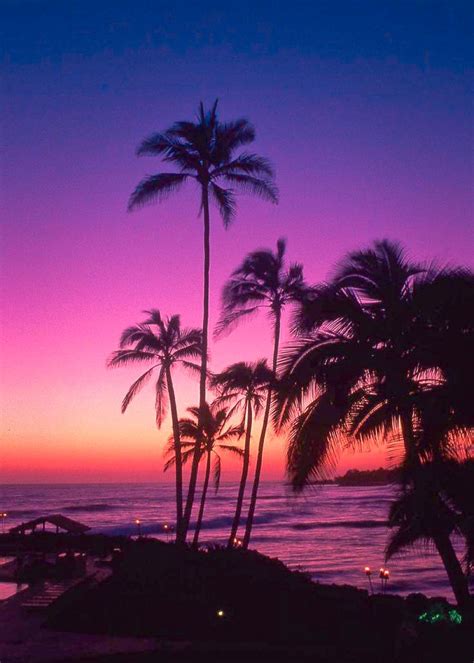 colour my world | Nature photography, Purple sunset, Sunsets hawaii