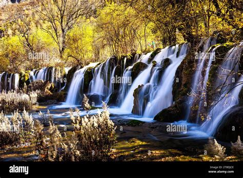 A beautiful autumn landscape with waterfalls and golden trees. Jiuzhai ...