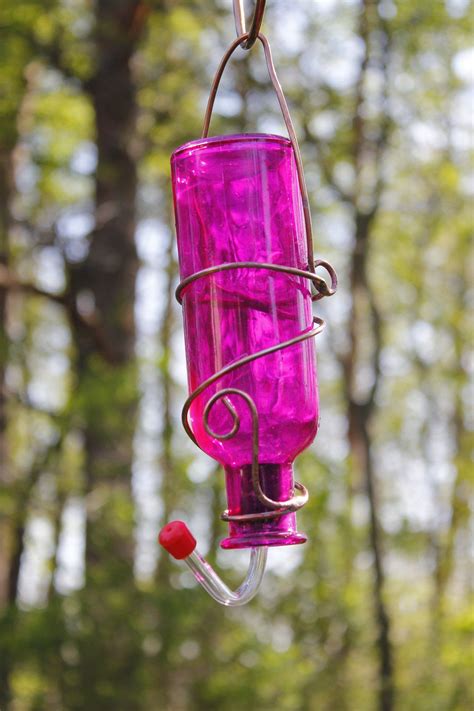 Hot Pink Mini Hummingbird Feeder. $15.50, via Etsy. Glass Hummingbird Feeders, Humming Bird ...