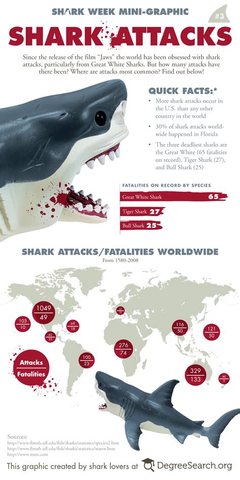 Shark Attack Infographic