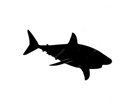 Premium Vector | Vector white shark silhouette isolated on white background