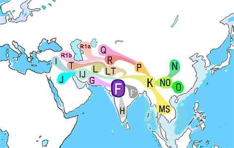 Genetics – Rhesus Negative