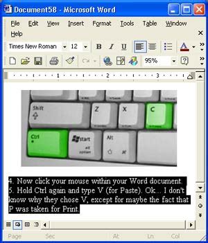 How to Copy-Paste: a Tutorial for Windows by Janee