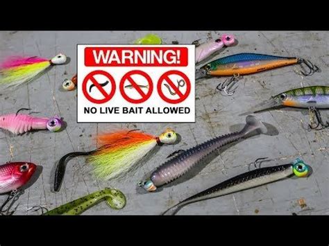 Best spring walleye baits and techniques (NO LIVE BAIT!) - YouTube | Walleye bait, Fishing ...